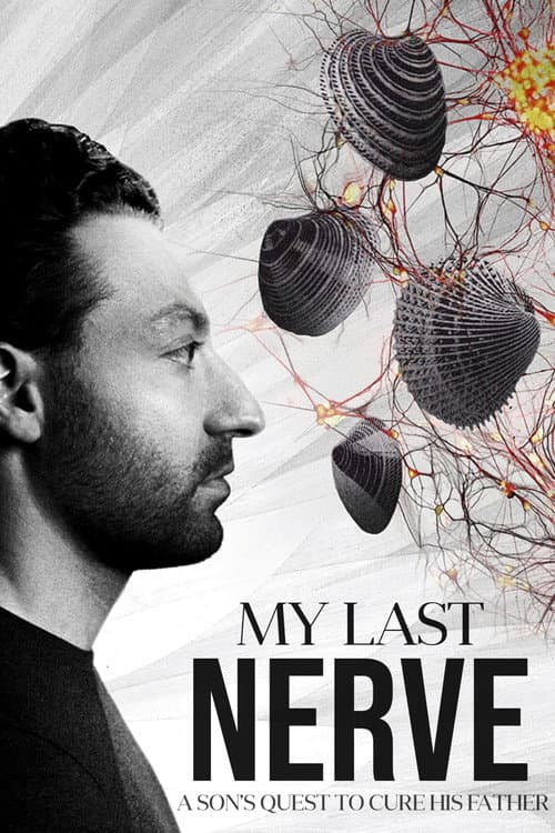 My Last Nerve poster