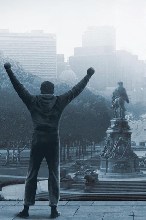 Rocky cover