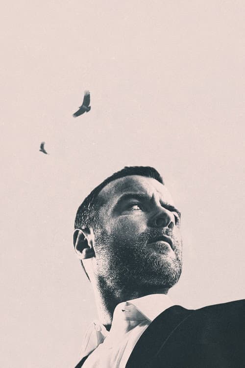 Ray Donovan: The Movie cover