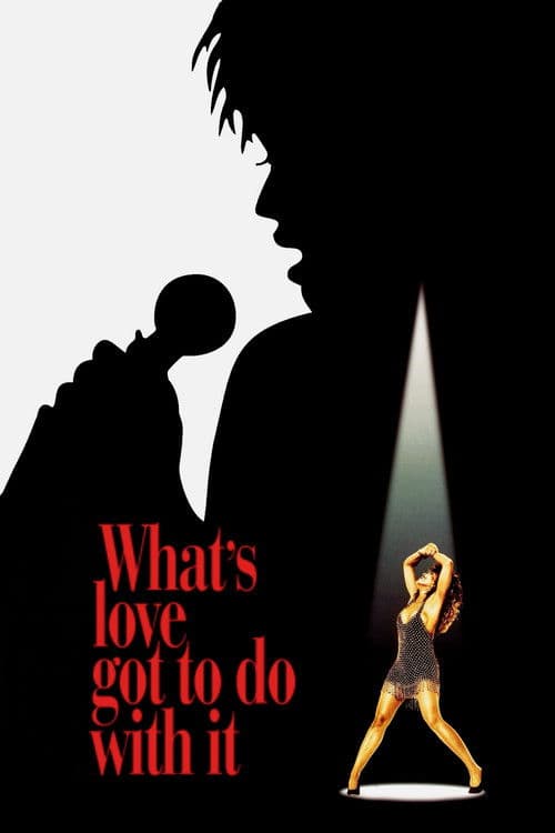 What's Love Got to Do with It poster