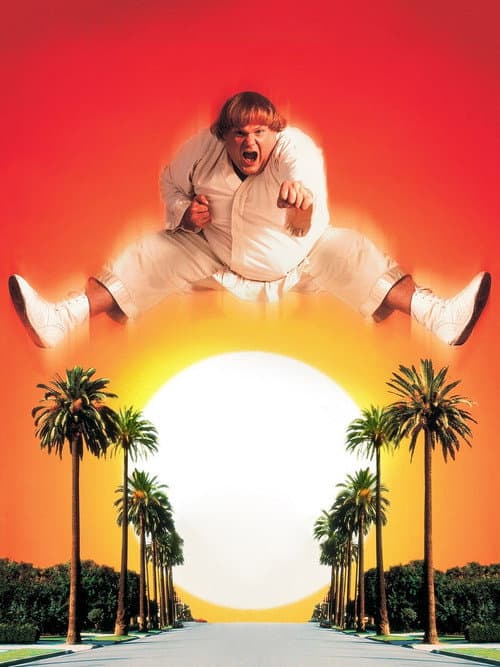 Beverly Hills Ninja cover