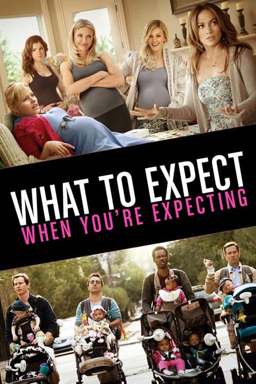 What to Expect When You're Expecting poster