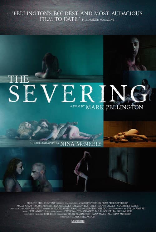 The Severing cover