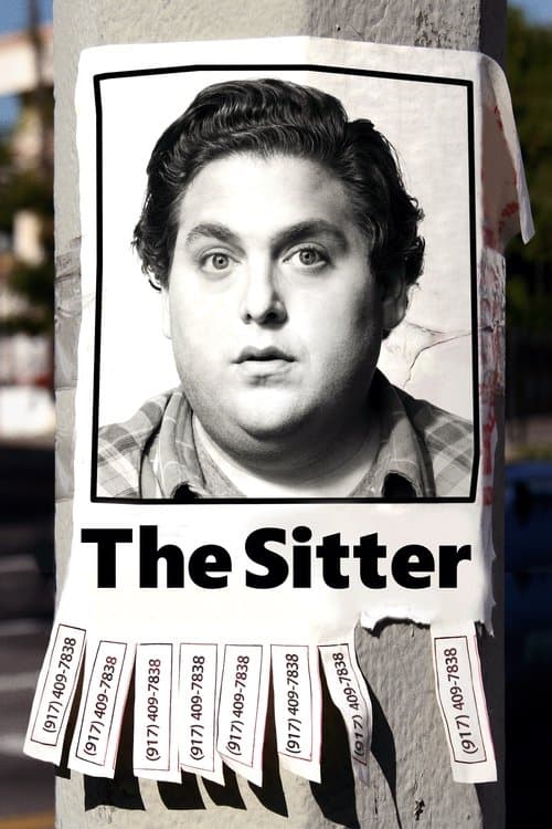 The Sitter poster