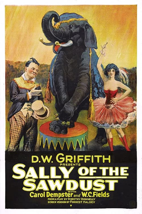 Sally of the Sawdust cover