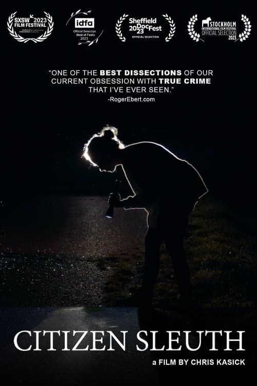 Citizen Sleuth poster