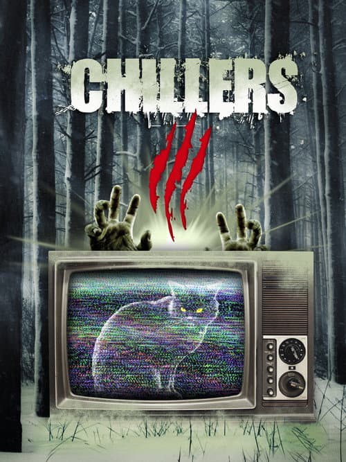Chillers 3 poster