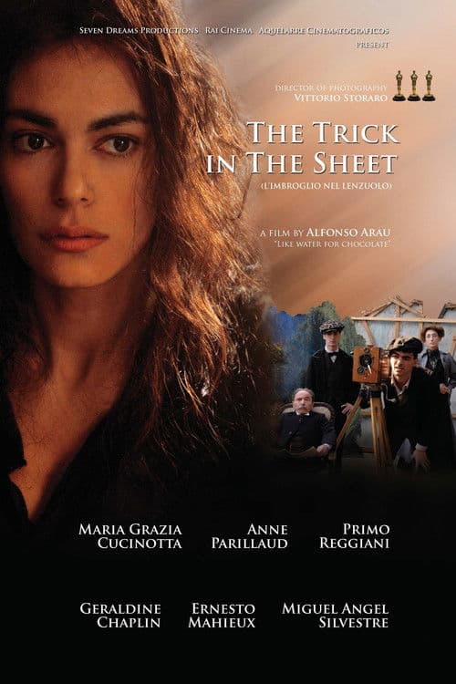 L'imbroglio nel lenzuolo poster