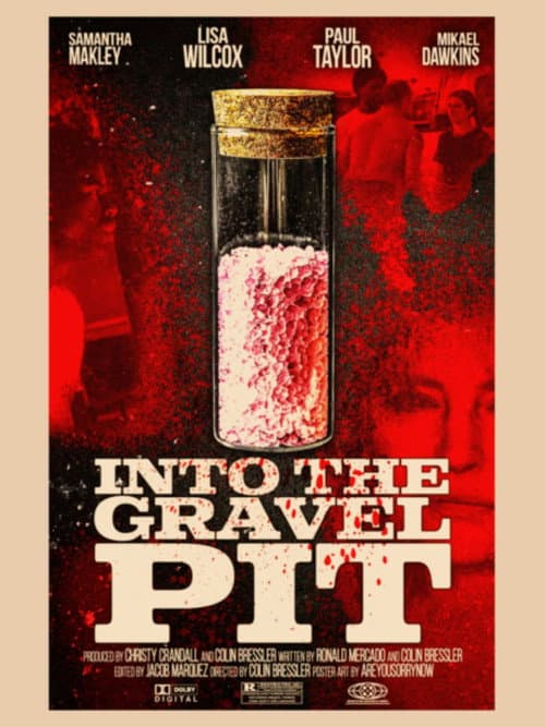 Into The Gravel Pit cover