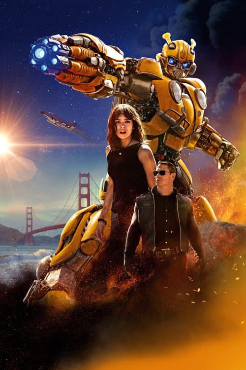 Bumblebee cover