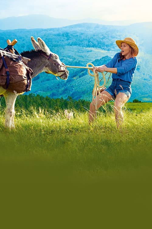 My Donkey, My Lover & I cover