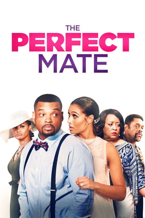 The Perfect Mate poster