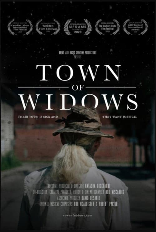 Town of Widows poster