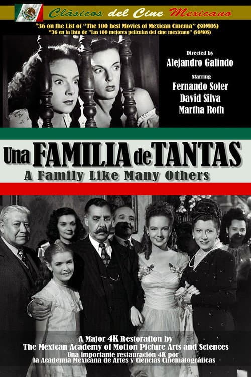 A Family Like Many Others poster