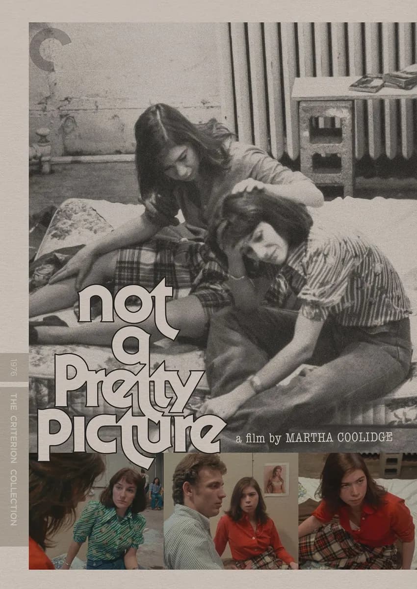 Not a Pretty Picture cover