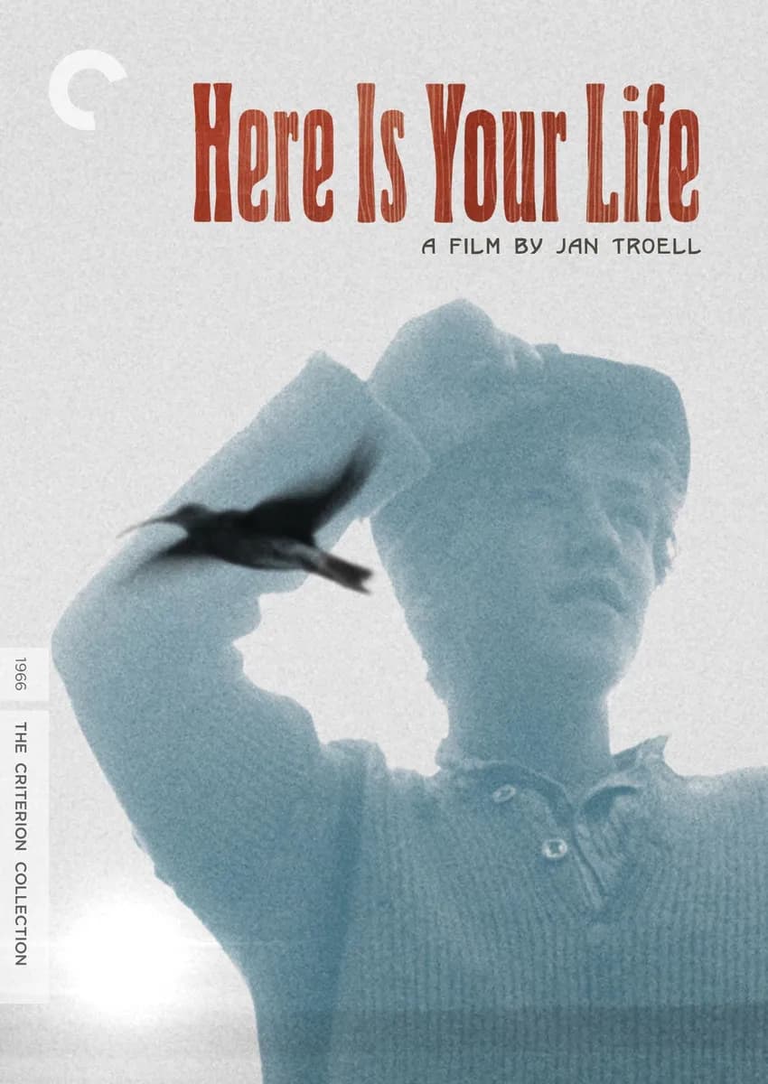 Here Is Your Life cover