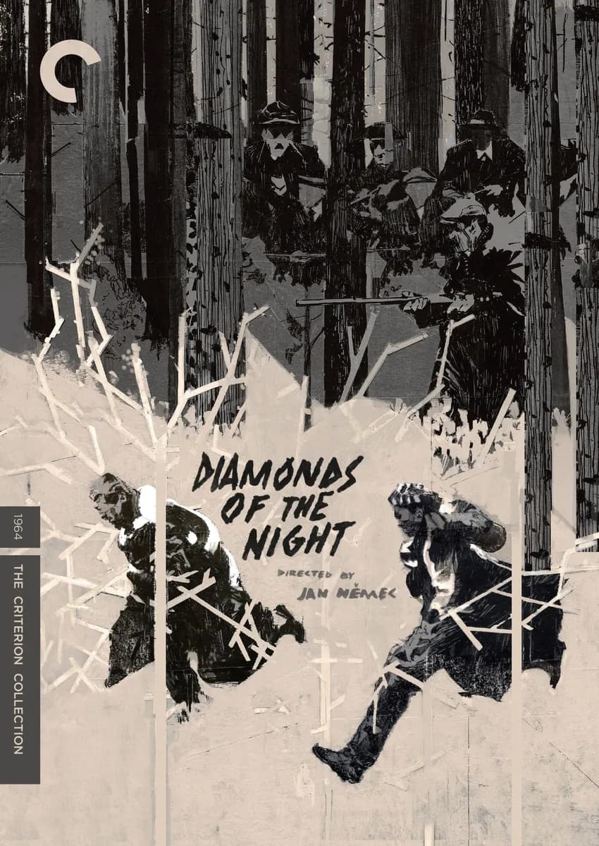 Diamonds of the Night (DVD) cover