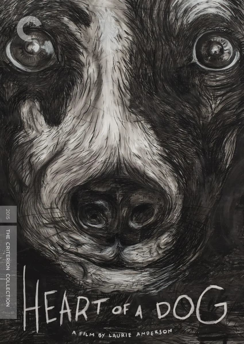 Heart of a Dog cover