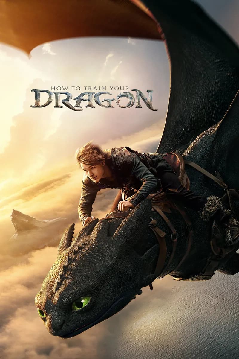 How to Train Your Dragon cover