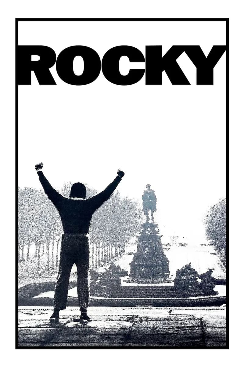 Rocky cover
