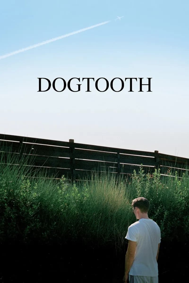 Dogtooth cover