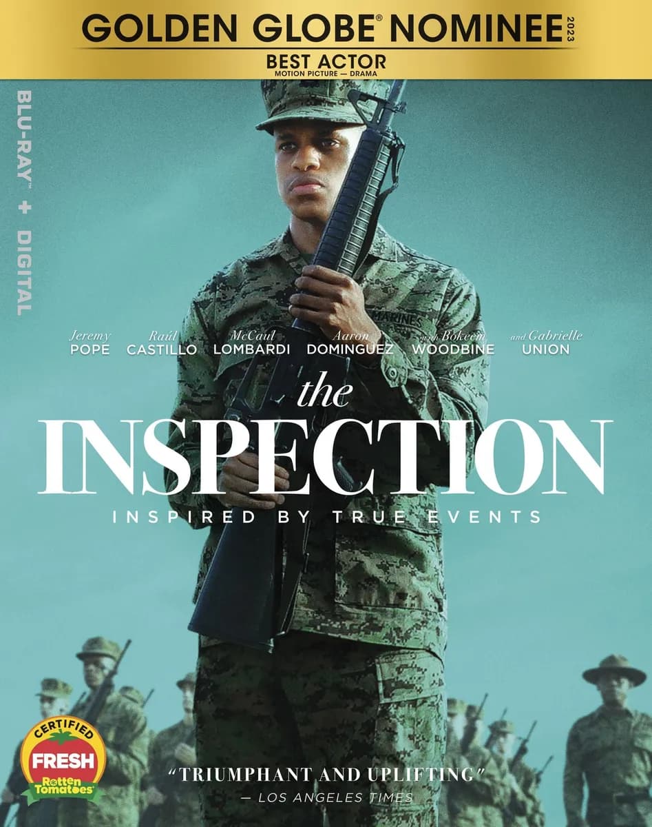 The Inspection cover