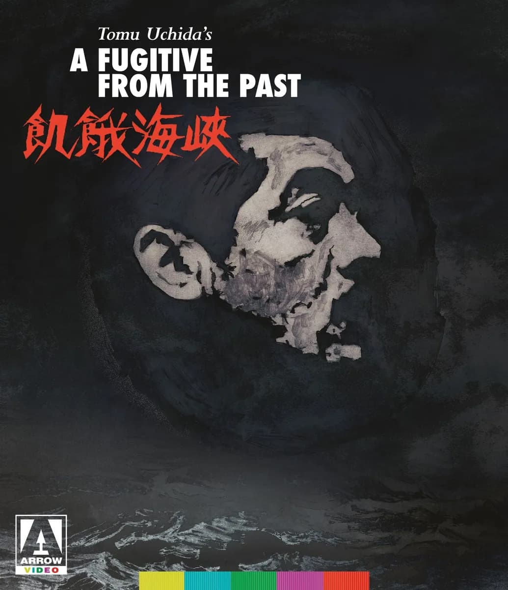 A Fugitive from the Past cover