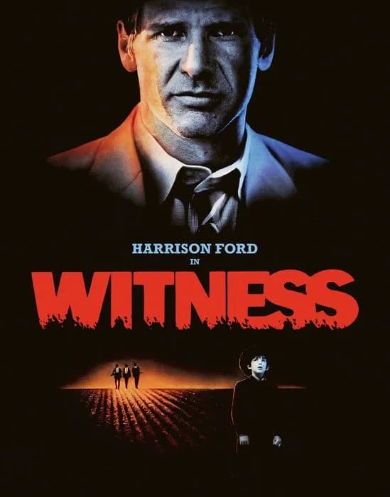 Witness cover