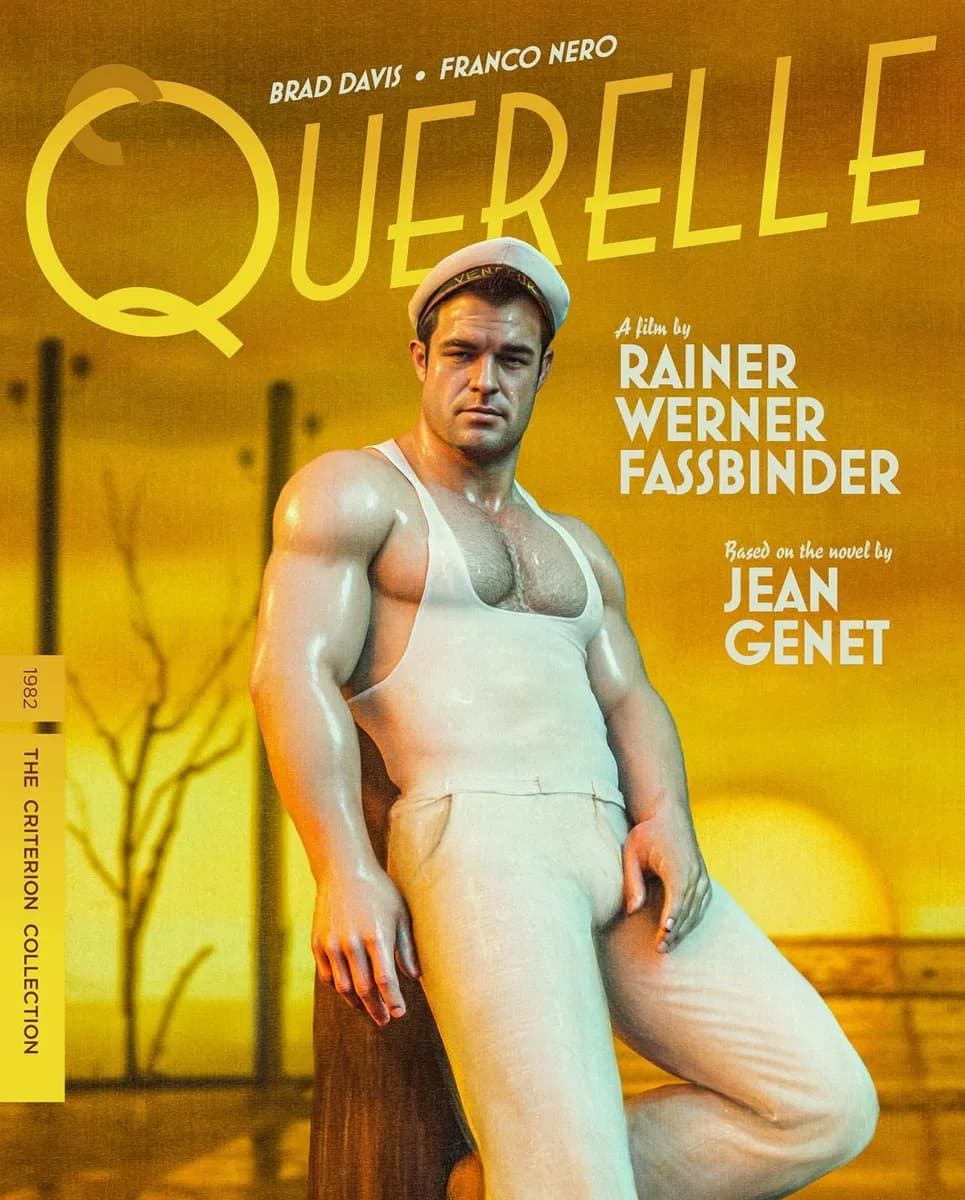 Querelle cover