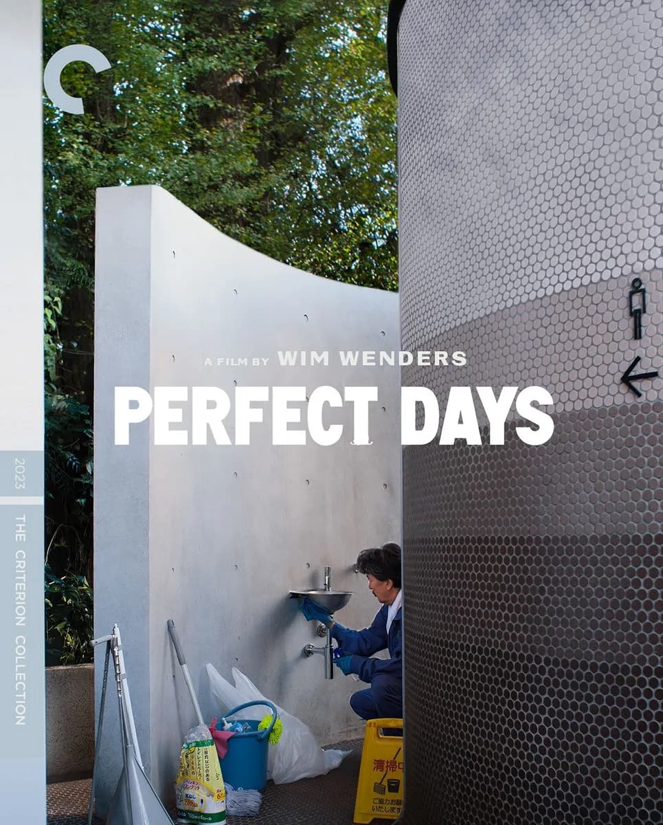 Perfect Days cover