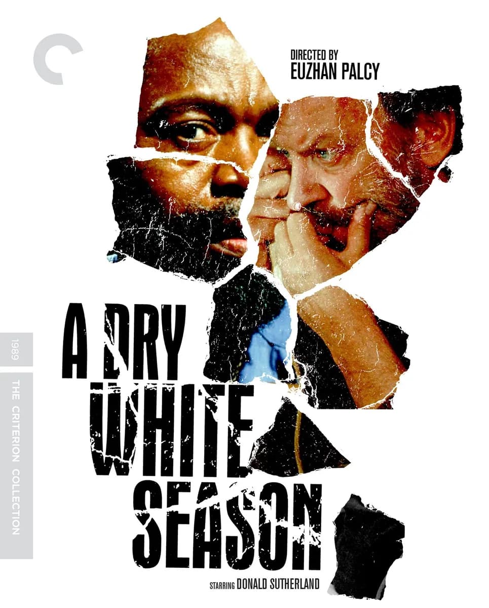 A Dry White Season cover