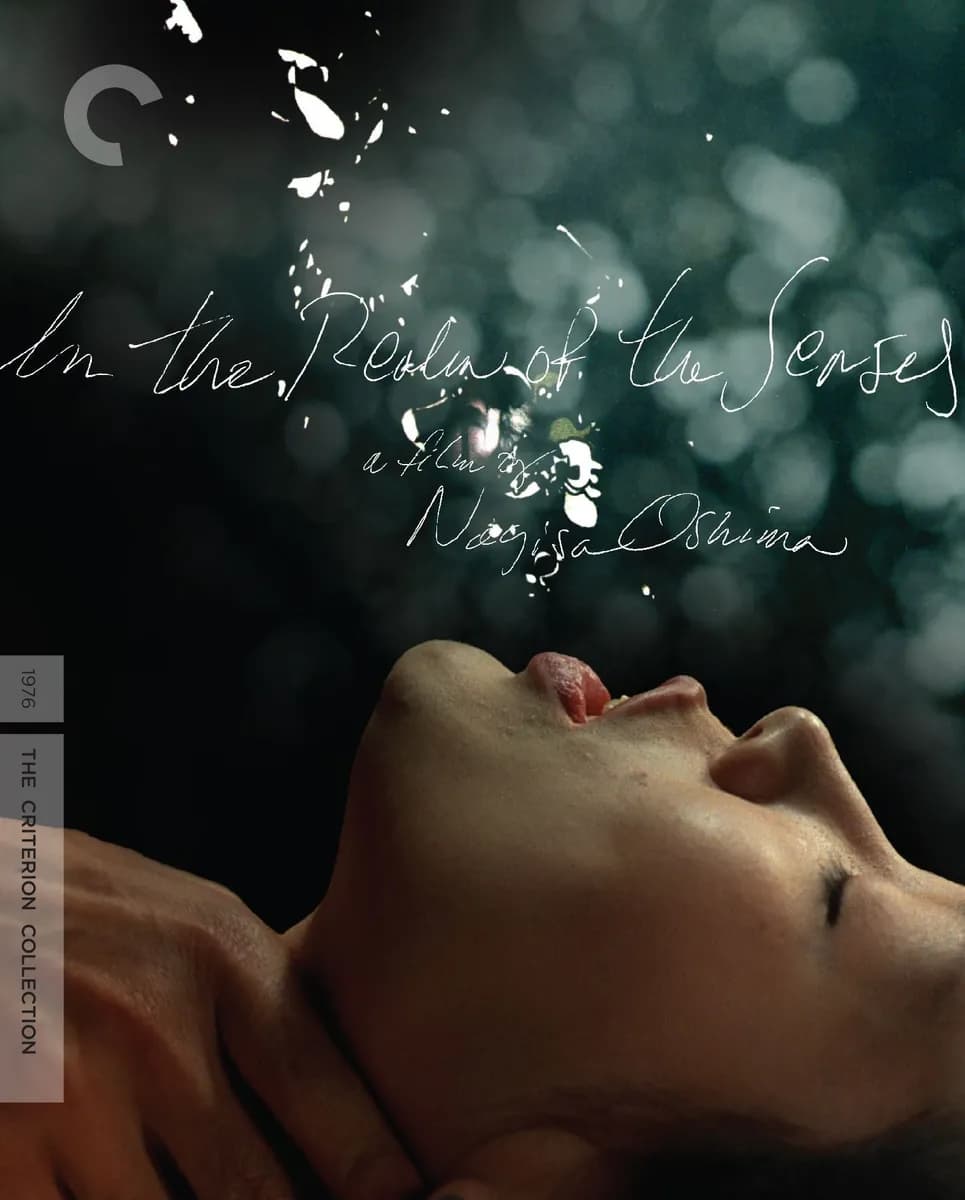 In the Realm of the Senses cover