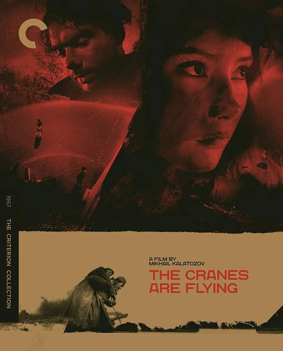 The Cranes Are Flying cover