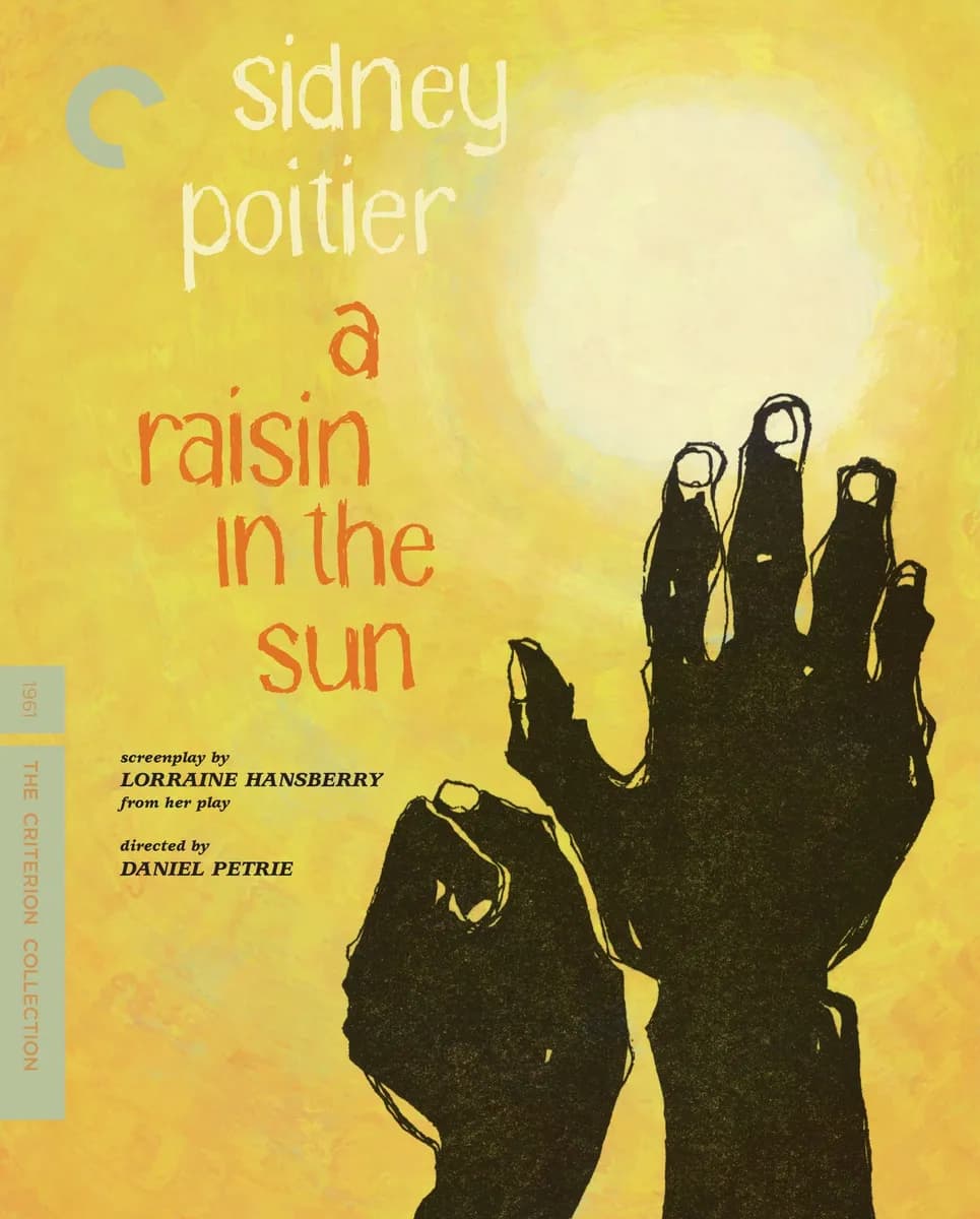 A Raisin in the Sun cover