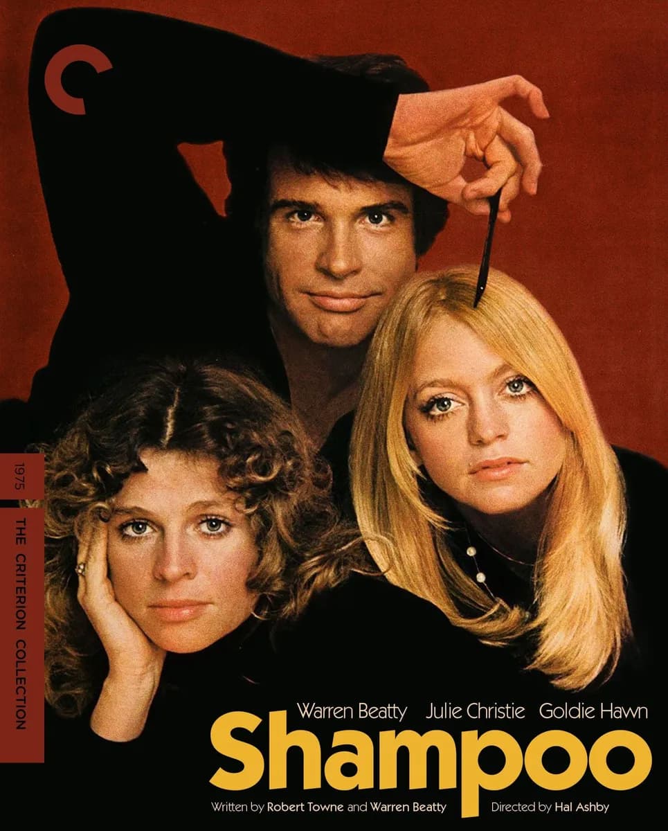 Shampoo cover