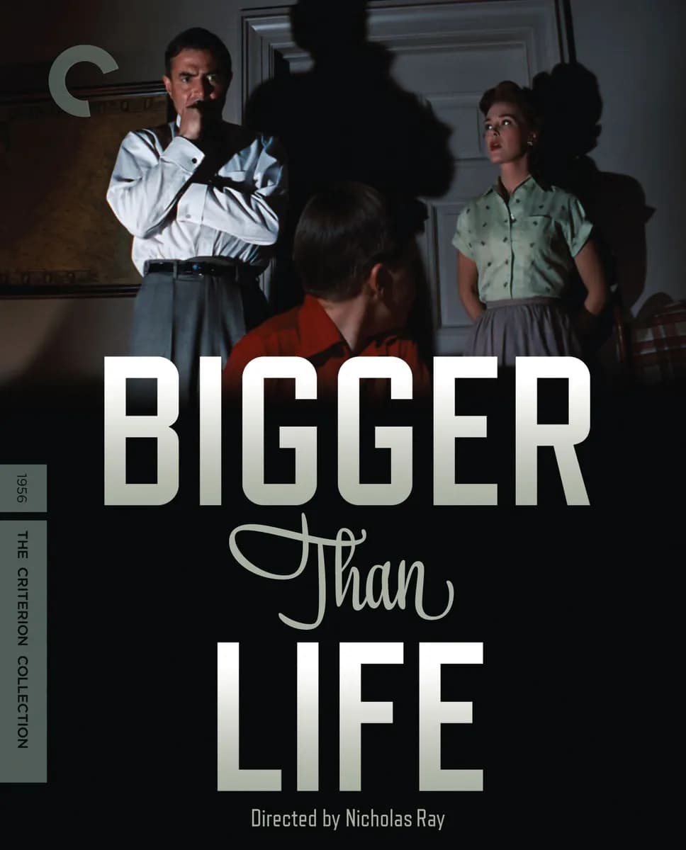 Bigger Than Life cover