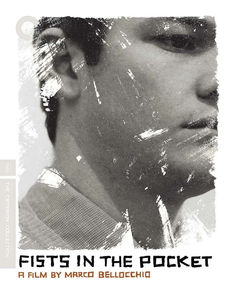 Fists in the Pocket cover