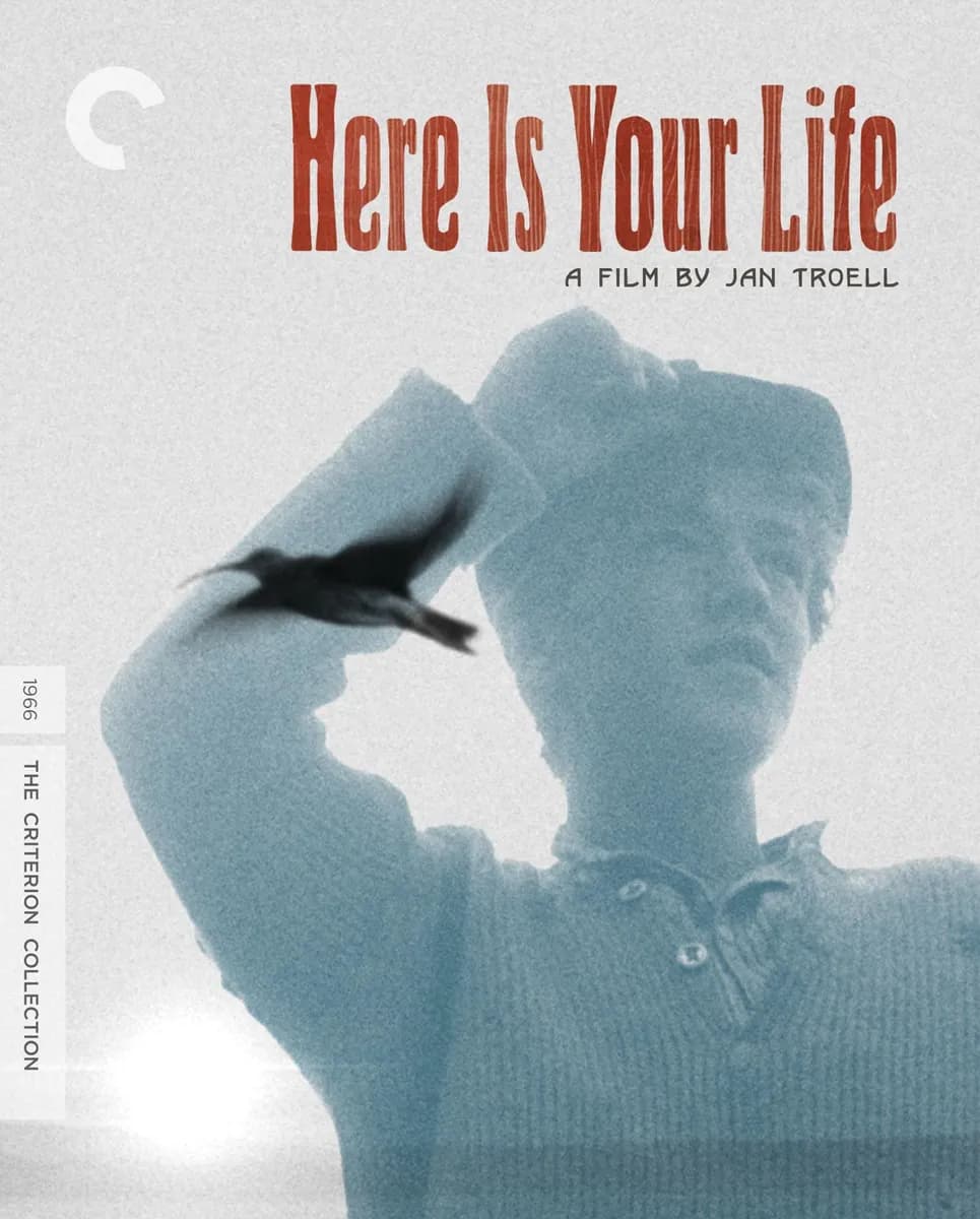 Here Is Your Life cover