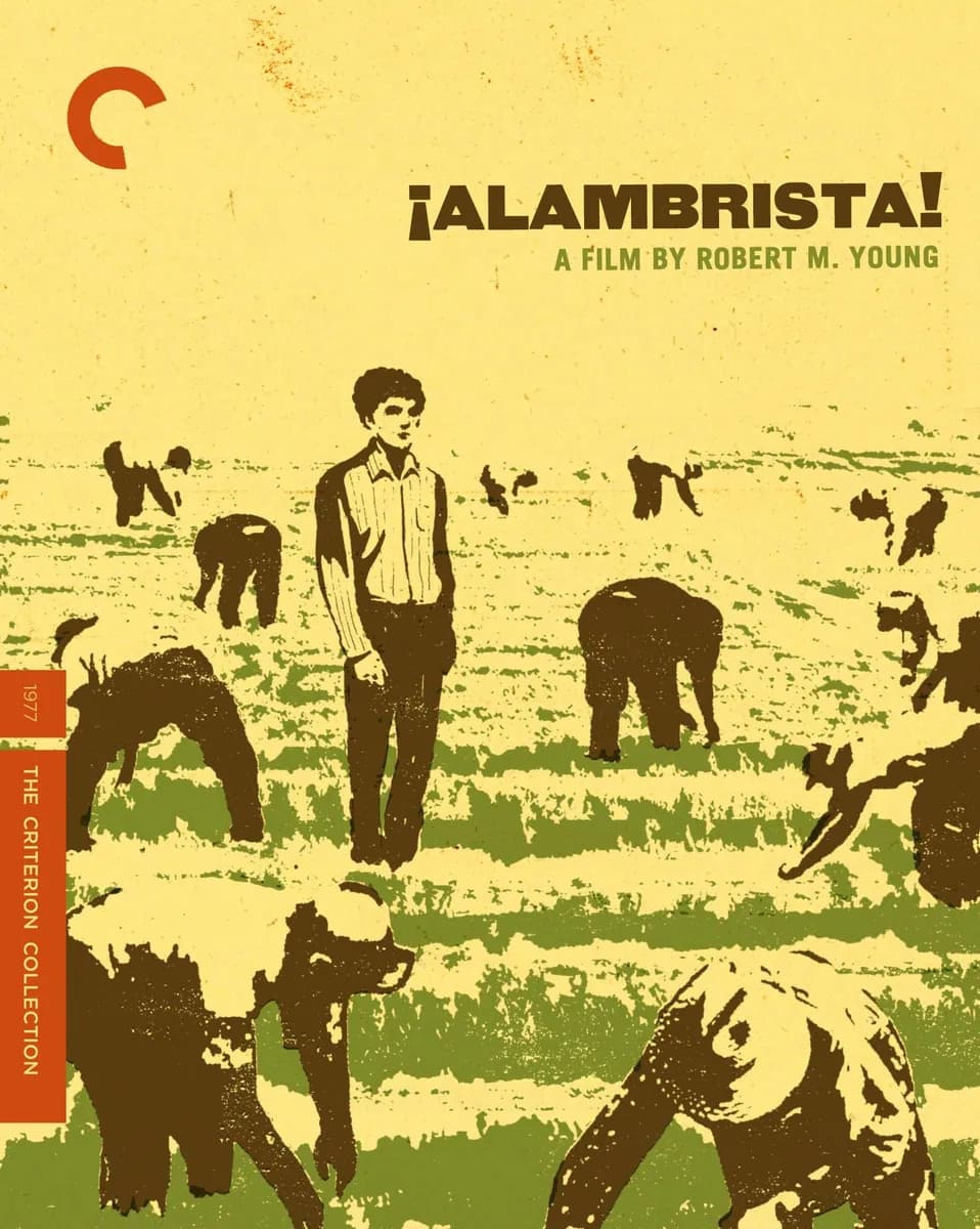 Alambrista! cover