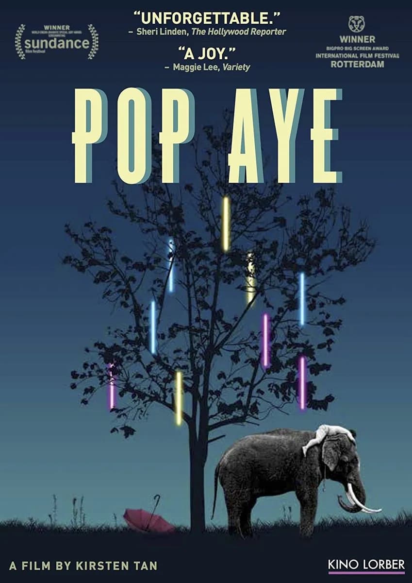 Pop Aye cover