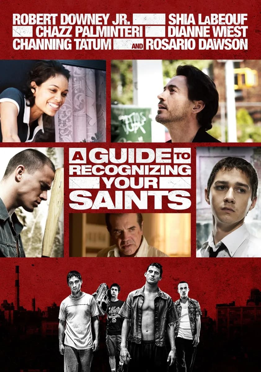 A Guide to Recognizing Your Saints cover