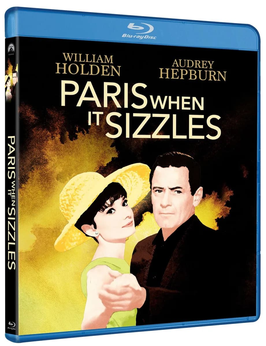 Paris When It Sizzles cover