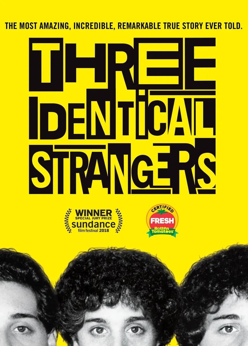 Three Identical Strangers cover