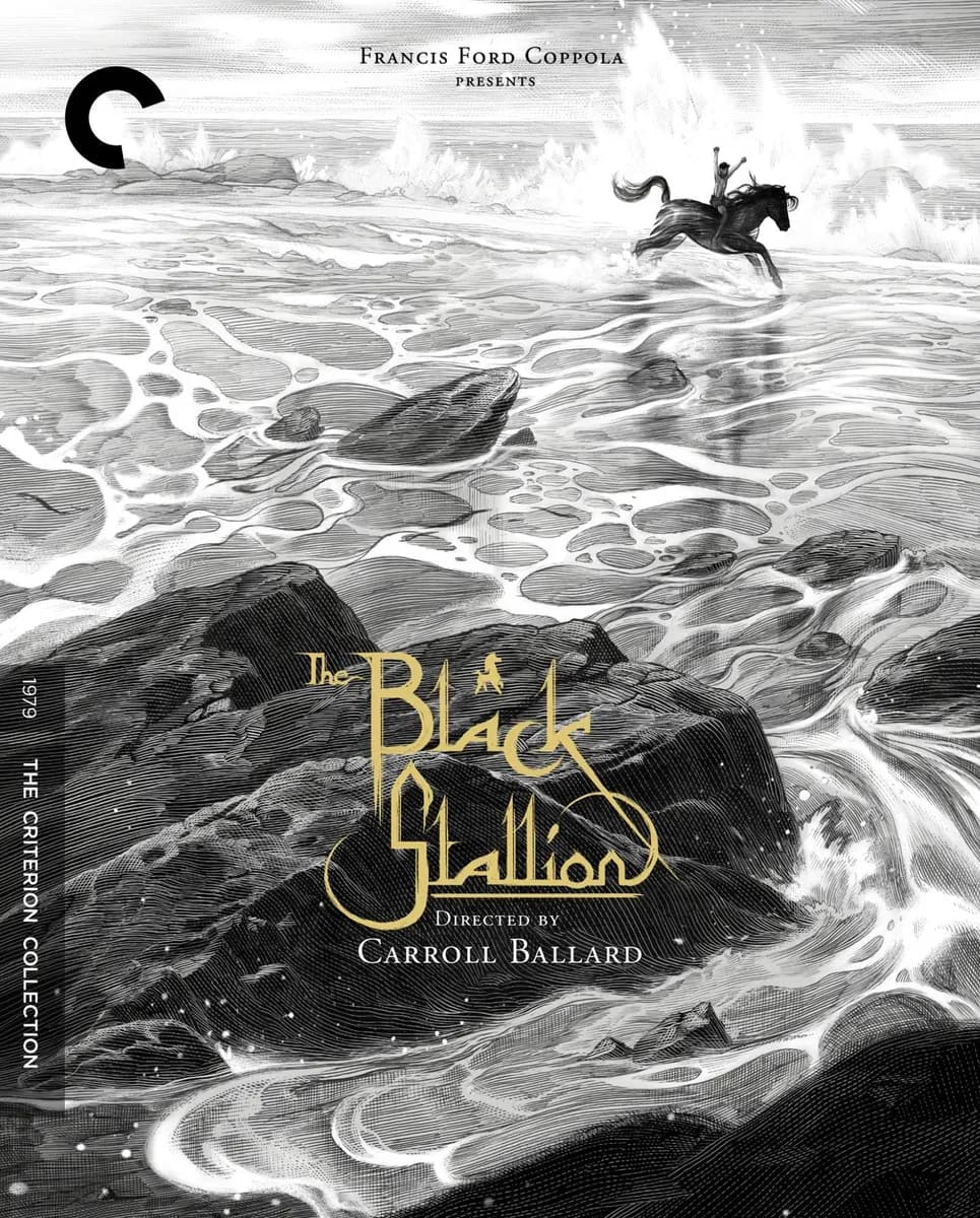 The Black Stallion cover