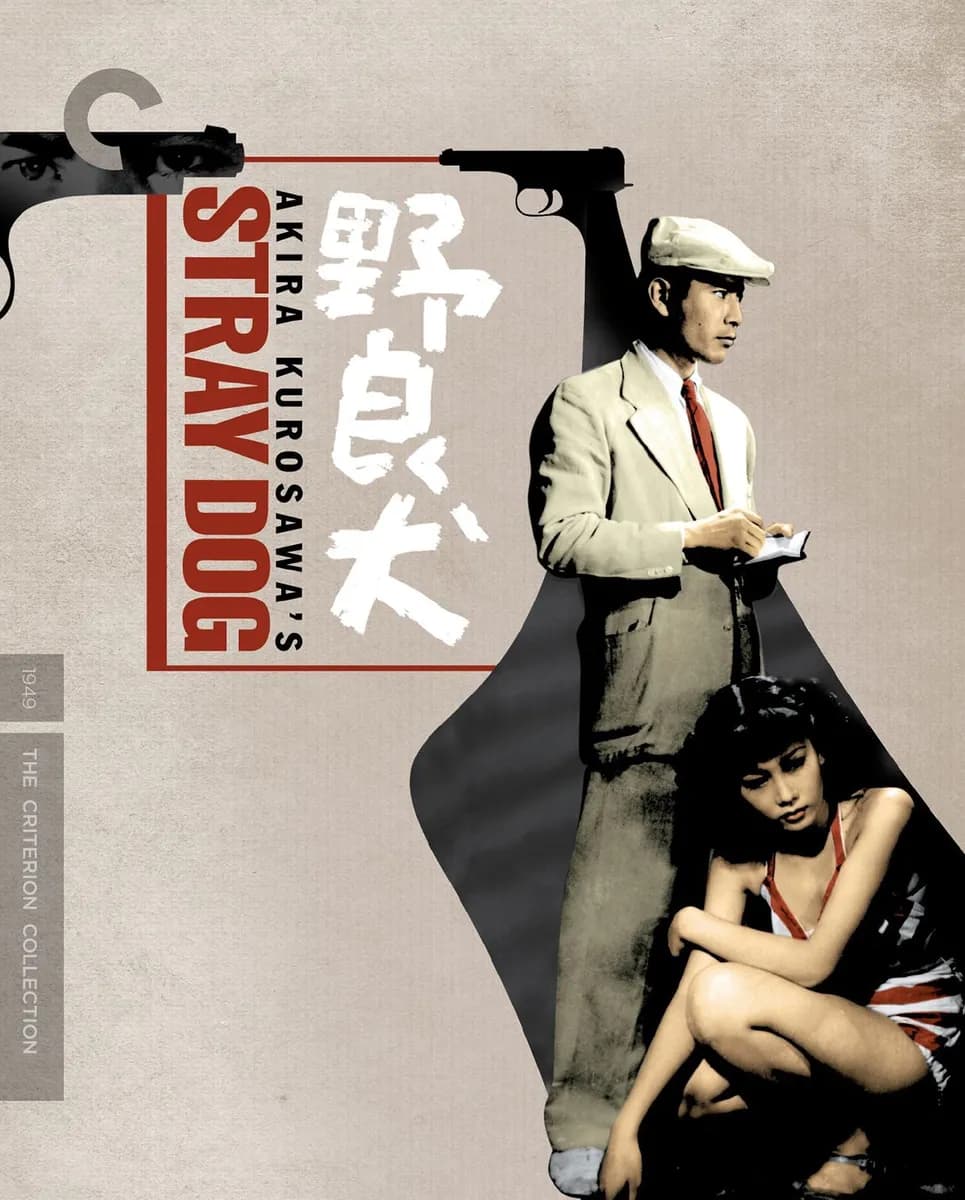 Stray Dog cover