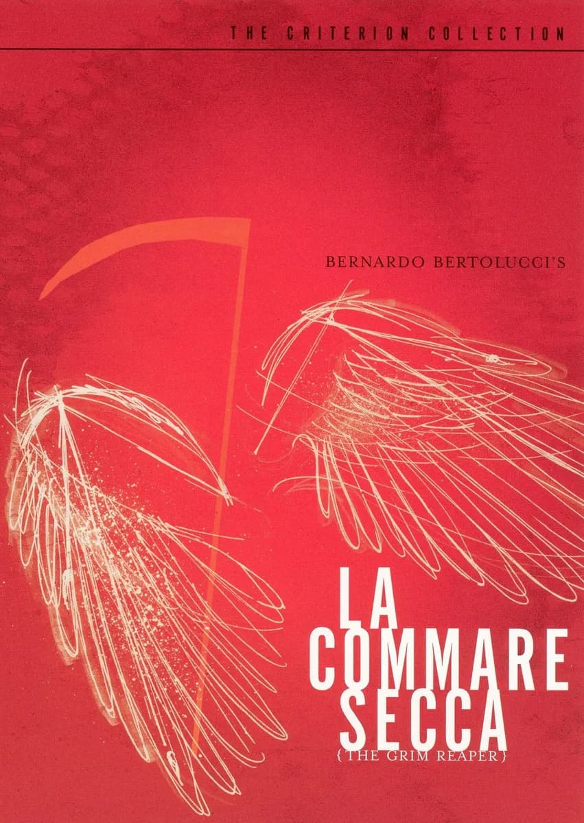 La Commare Secca cover
