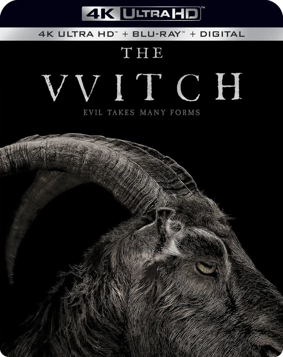 The Witch cover