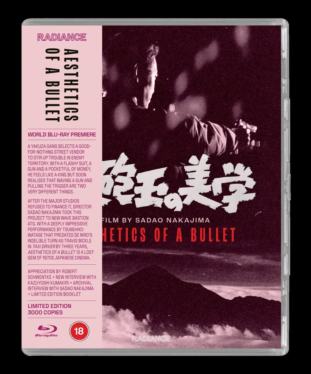 Aesthetics of a Bullet cover