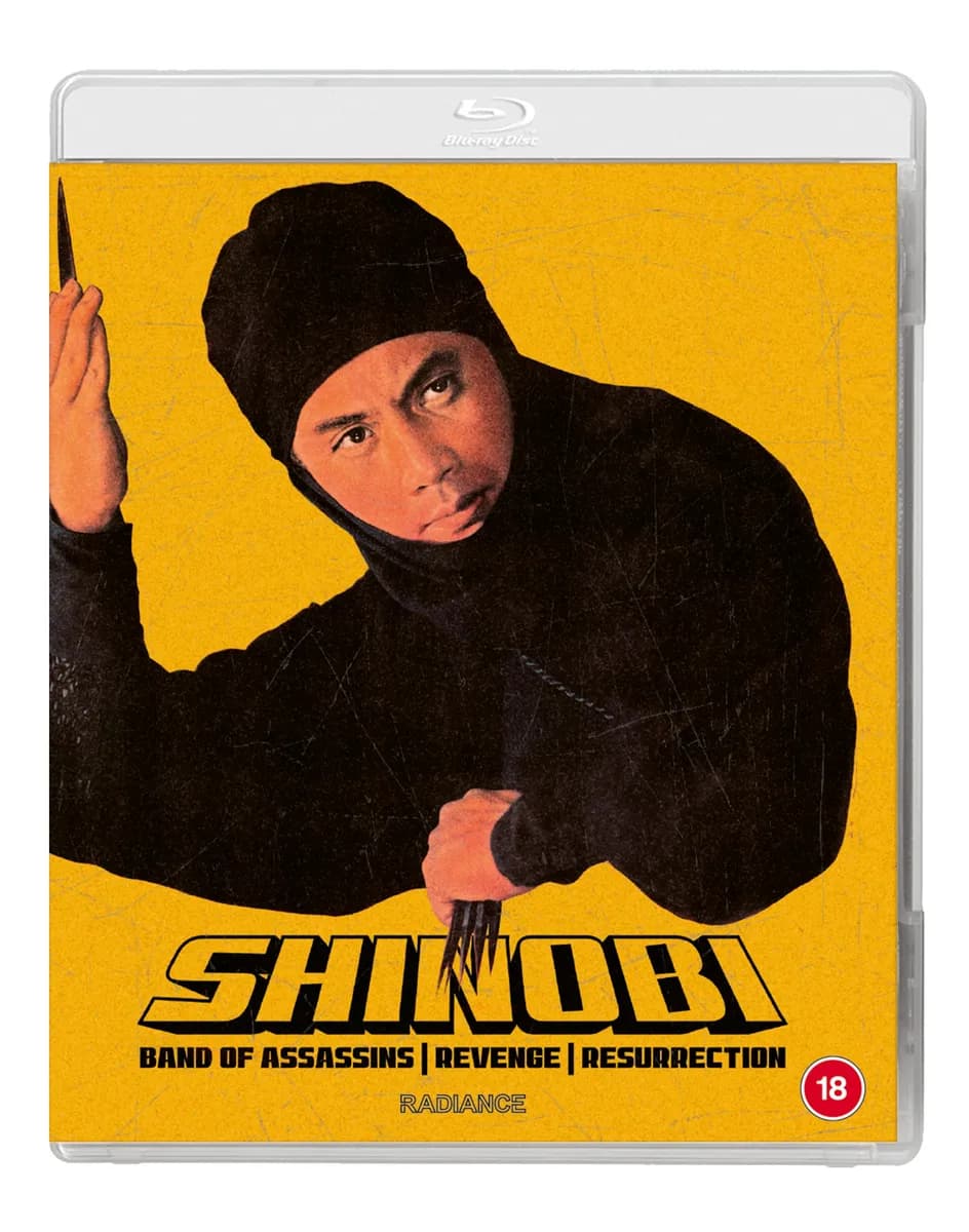 Shinobi cover
