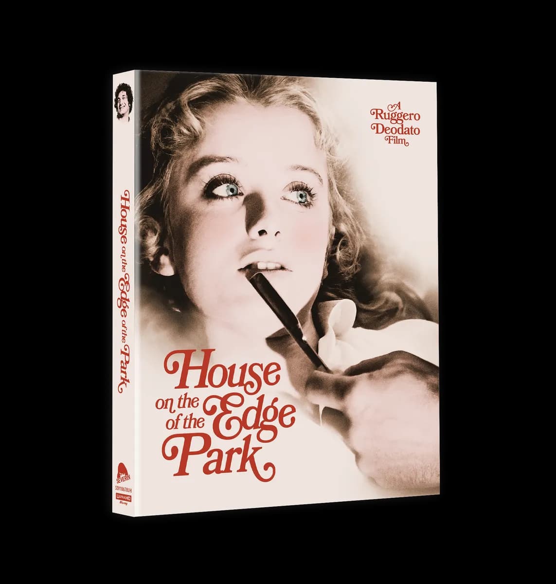 House on the Edge of the Park cover